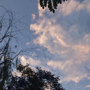 欧美老妇与小伙21P
