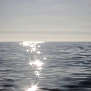 欧美老妇与小伙21P
