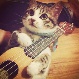 欧美老妇与小伙21P
